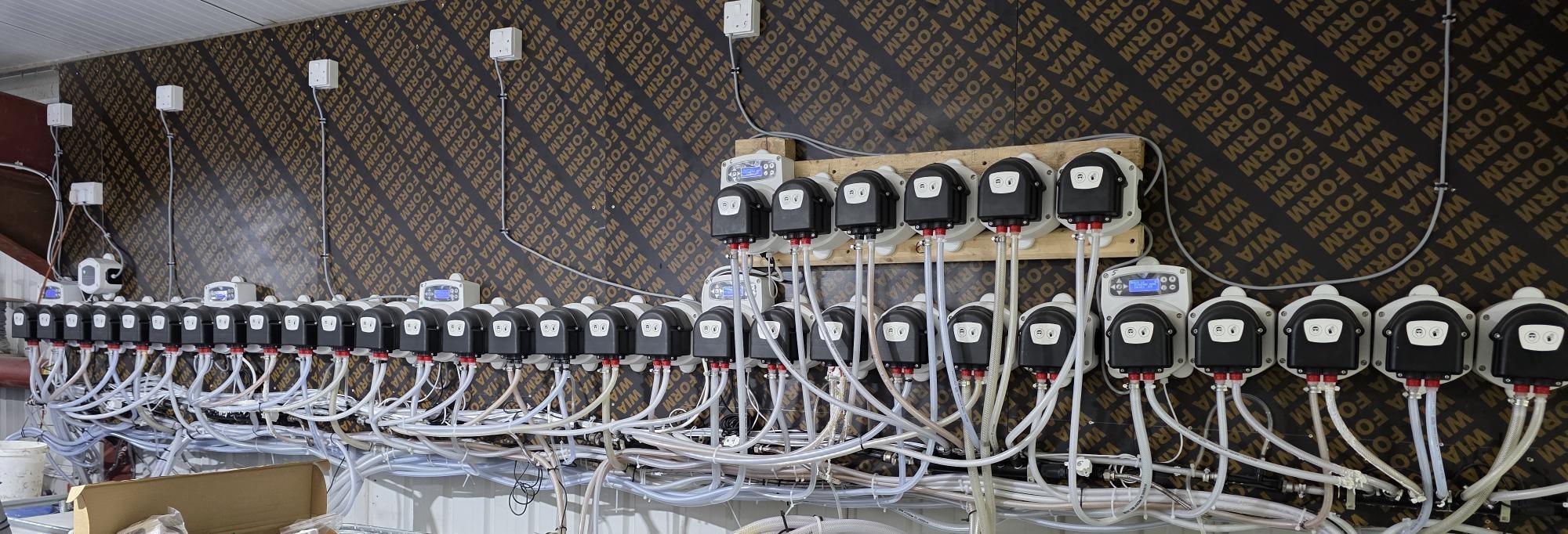 Swift Choice's previous dosing setup: rows of mismatched pumps mounted on a wooden batten with tangled tubing
