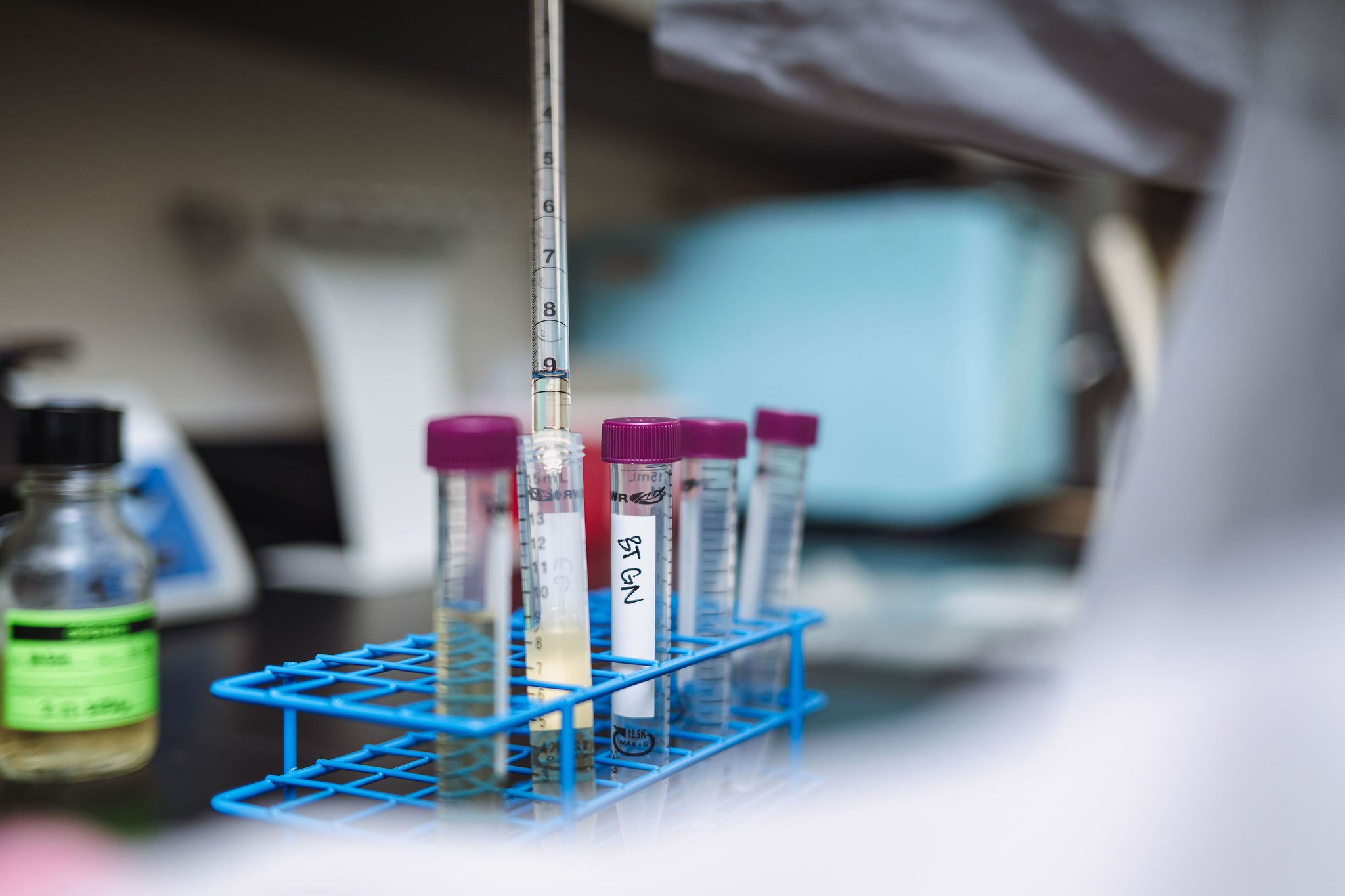 Test tubes in lab rack