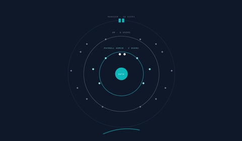 Payroll Platform Access Rings