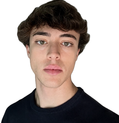 Gustavo Gonçalves, Consultor