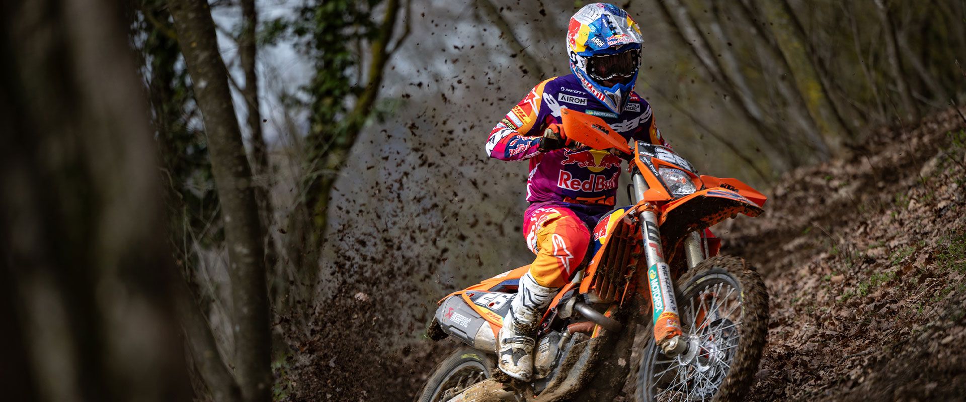 Foto 3: Moto KTM 450 EXC-F CHAMPION EDITION nuova 450cc enduro (2025)