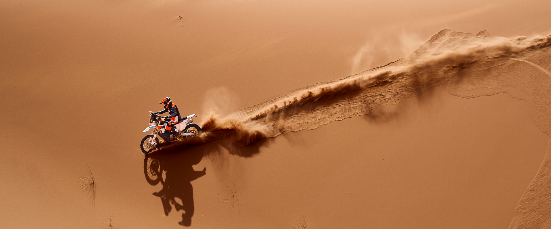 Foto 2: Moto KTM 450 RALLY REPLICA nuova 449cc strada (2027)