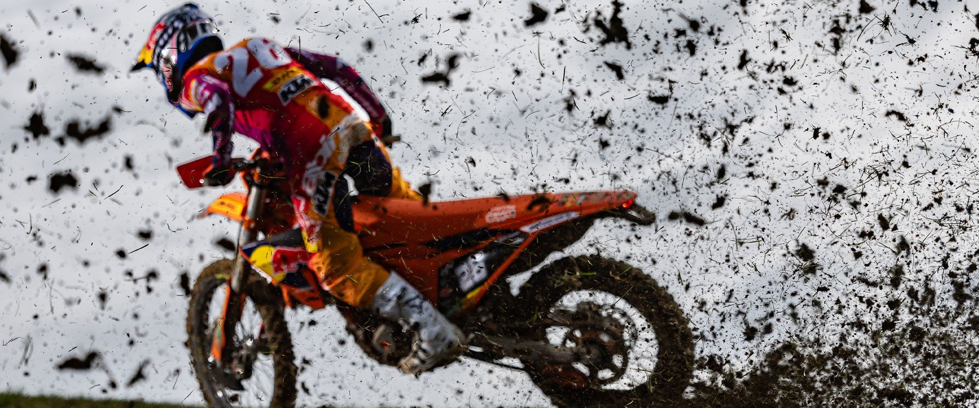 Foto 2: Moto KTM 250 EXC-F CHAMPION EDITION nuova 250cc enduro (2025)