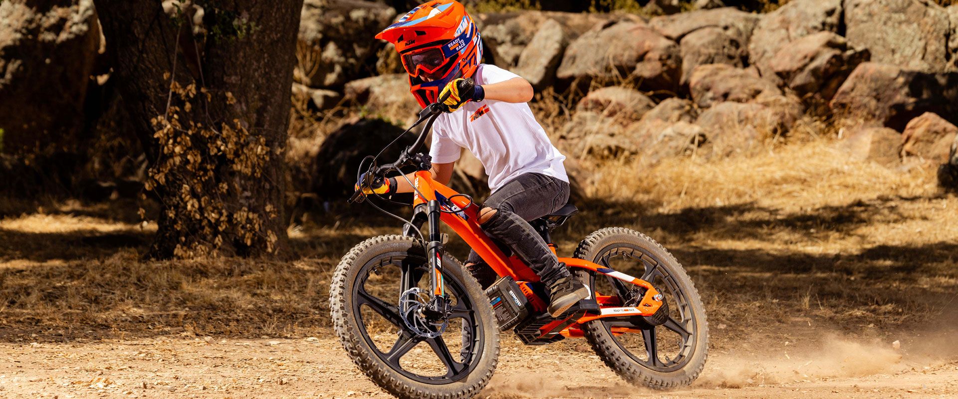 Foto 1: Moto KTM KTM SX-E 1.20 nuova cross (2026)