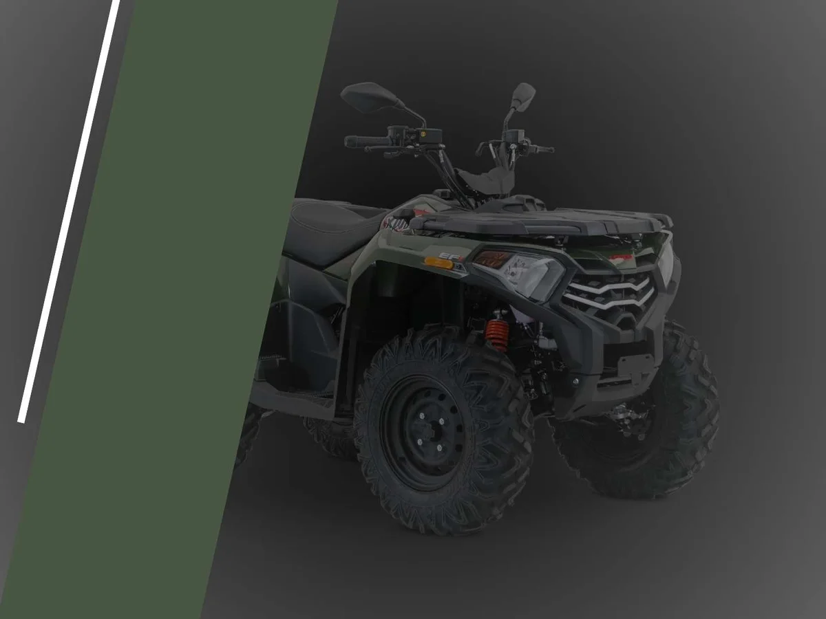 Foto 1: Moto VOGE XWOLF 300 nuova 270cc quad (2026)