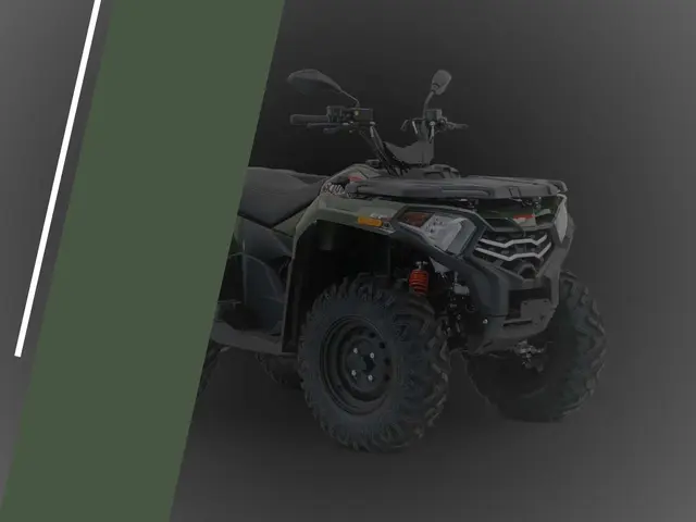 Foto 1: Moto VOGE XWOLF 300 nuova 270cc quad (2026)