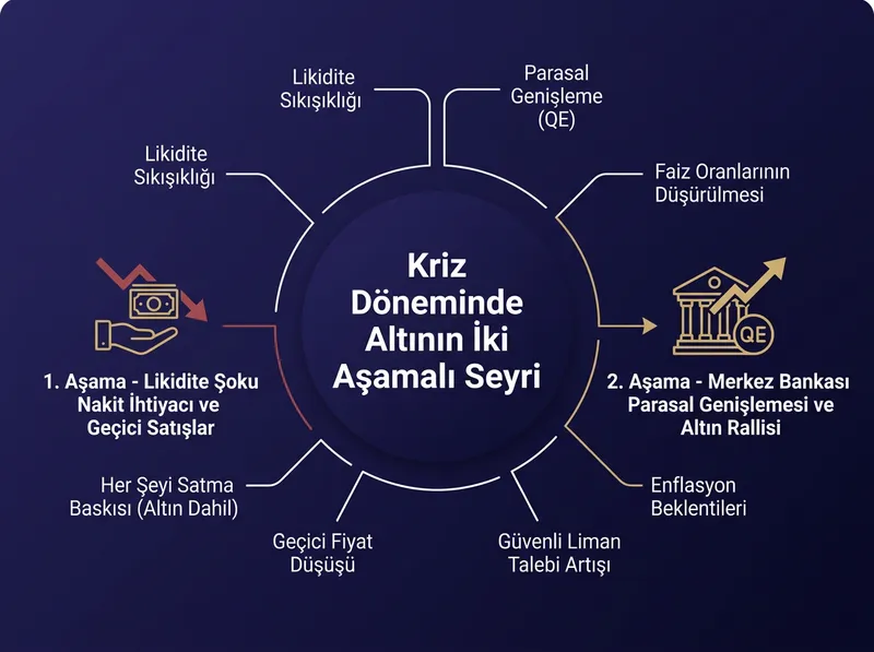 Krizlerin ilk anındaki satış baskısı ile sonrasındaki altın rallisi arasındaki 2 aşamalı mekanizmayı gösteren bilgi grafiği.