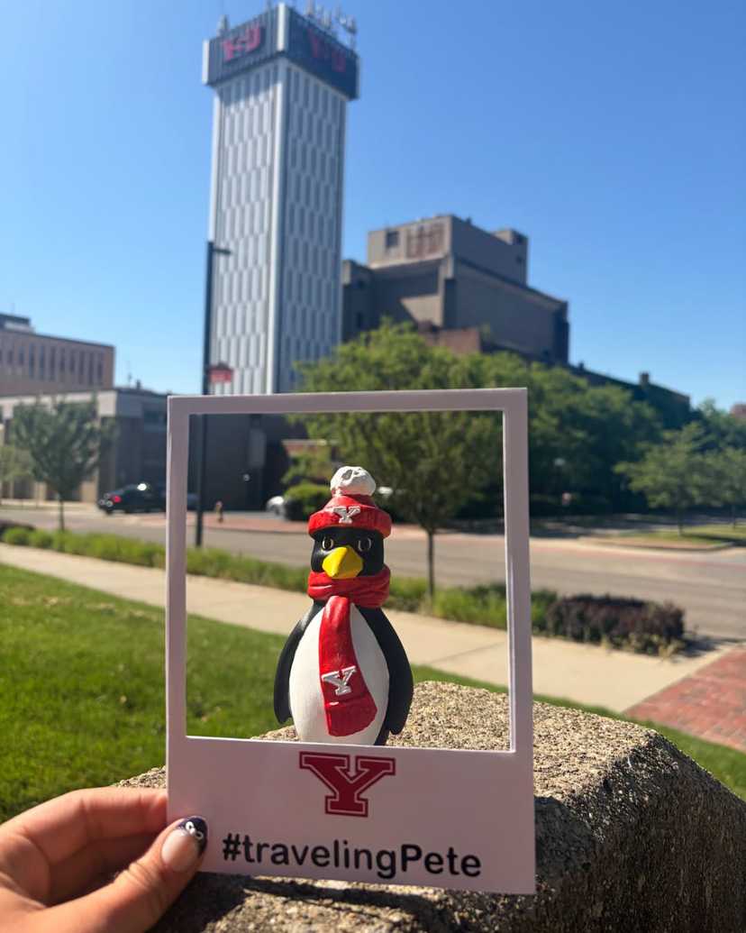 🇺🇸 YOUNGSTOWN STATE UNIVERSITY