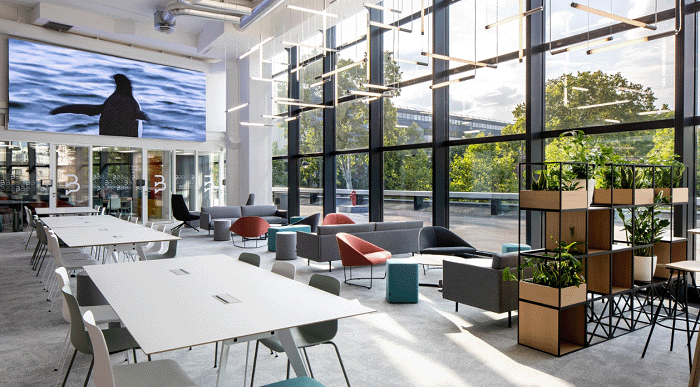 ONCAMPUS Paris – Chương trình pathway quốc tế tại trung tâm Paris, mở lối vào các trường hàng đầu châu Âu 🇫🇷