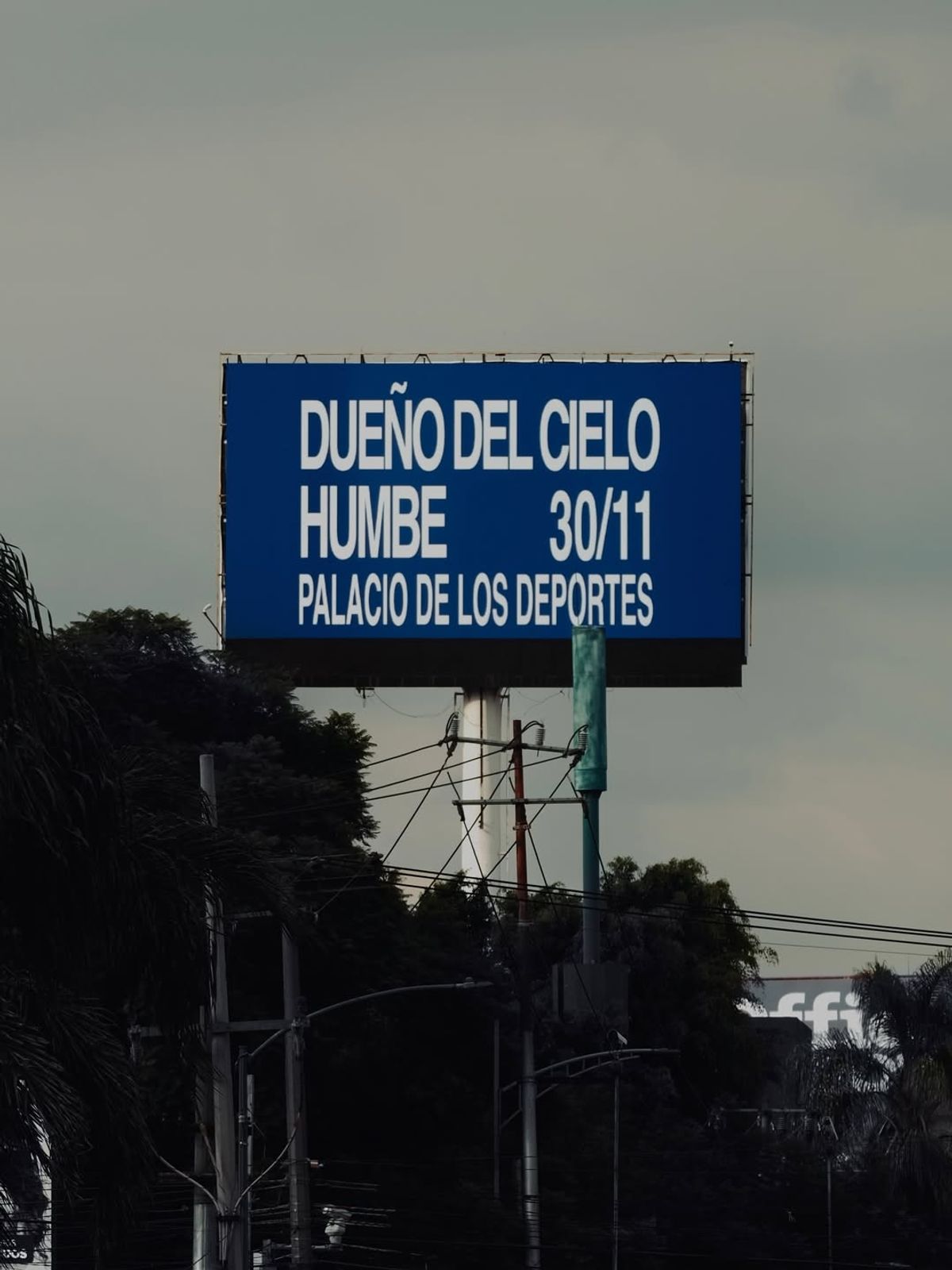 Foto de Dueño del cielo