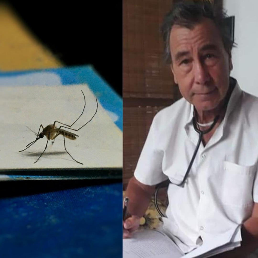 El dengue no espera: Medidas urgentes para proteger nuestra salud