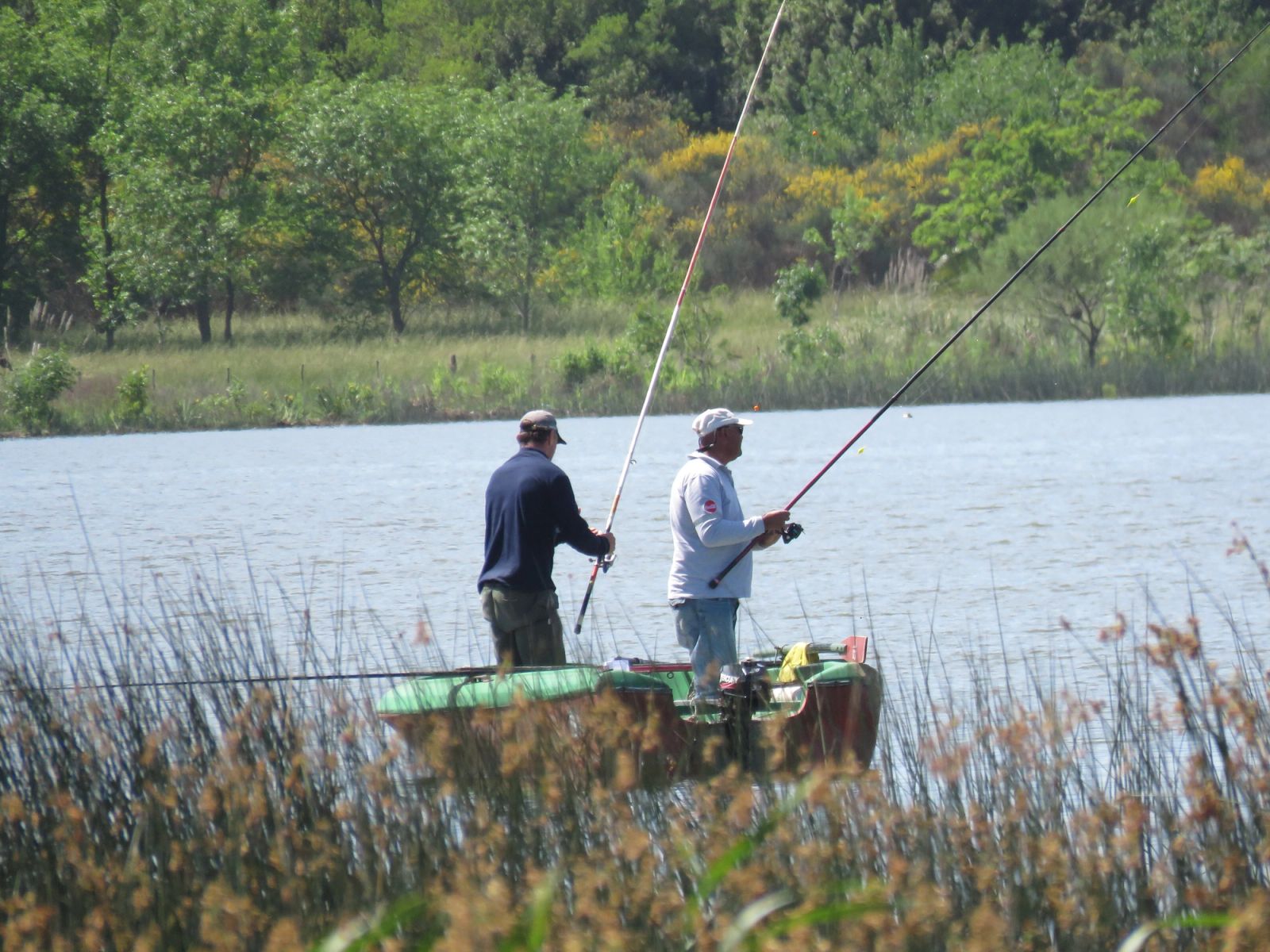 La laguna de Monte, en “riesgo bajo” por cianobacterias