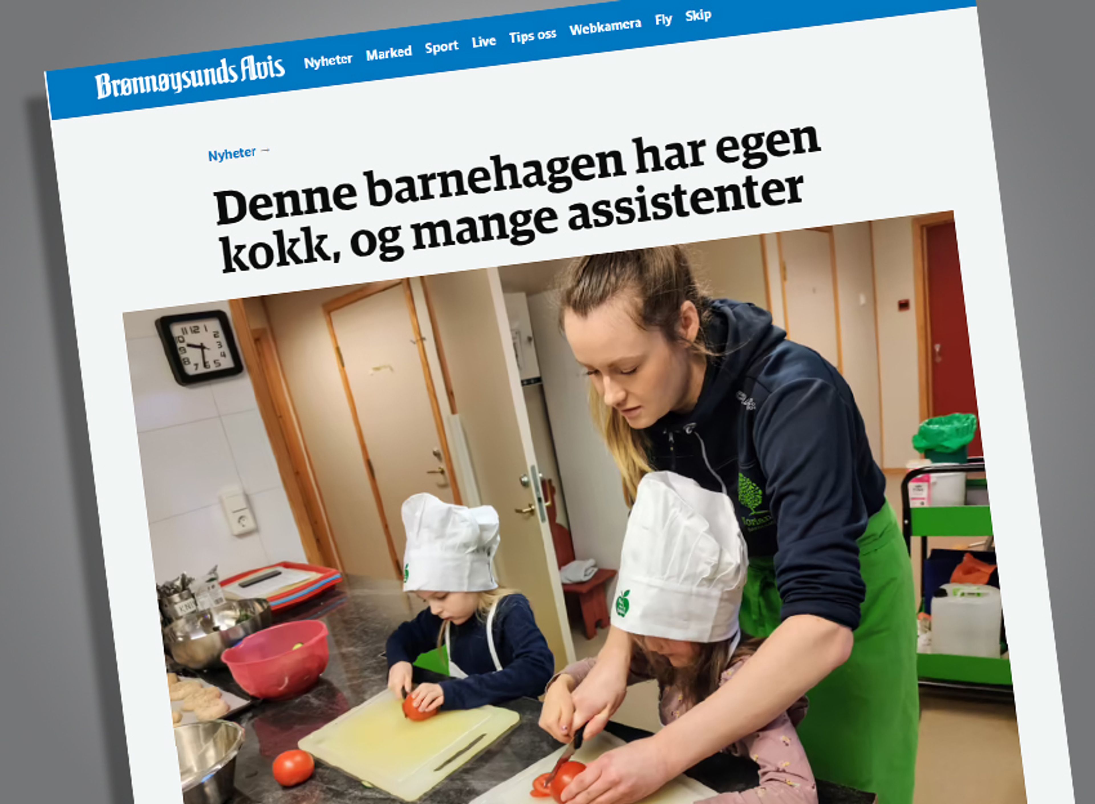 Skjermdump fra Brønnøysunds avis