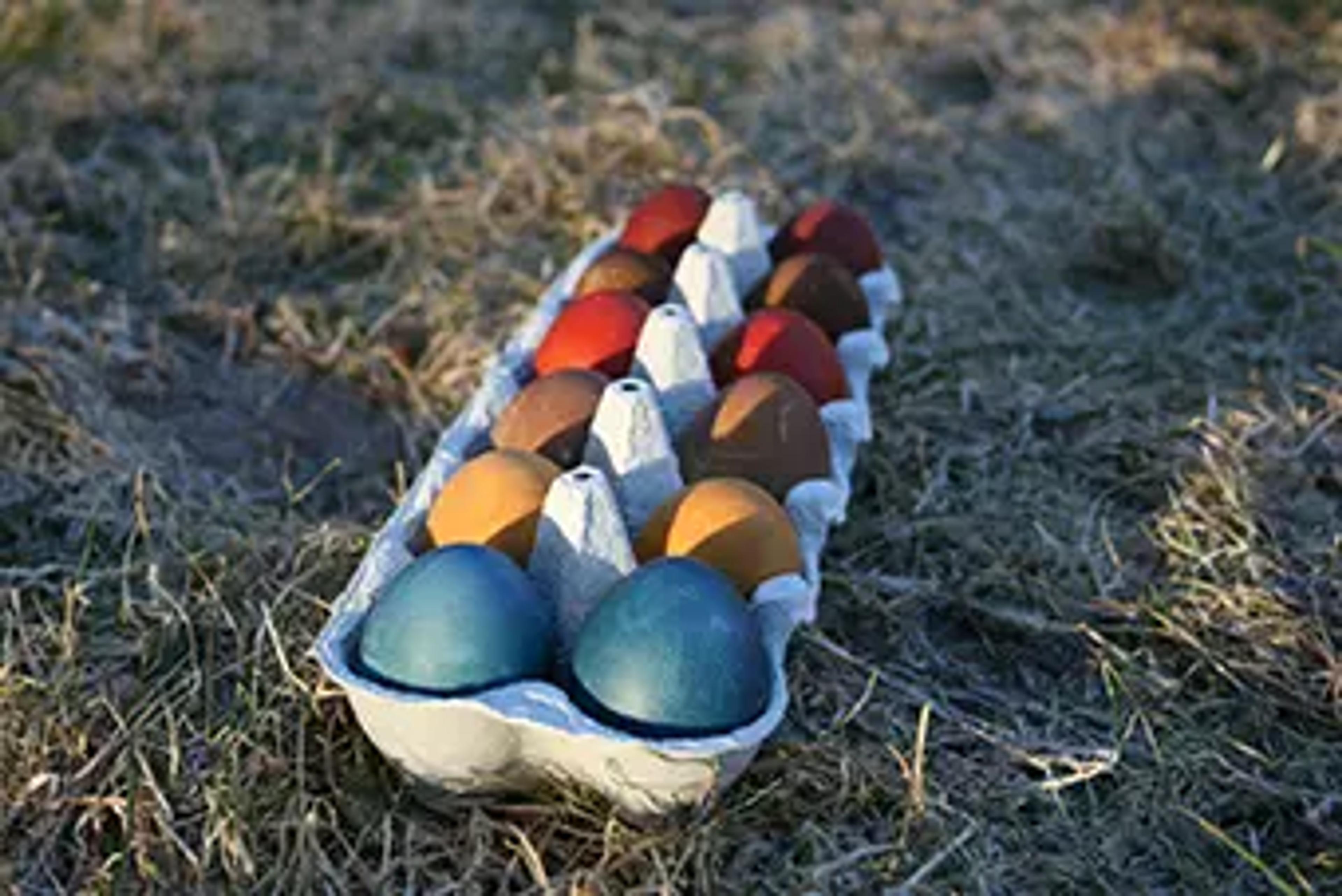 Fargede egg