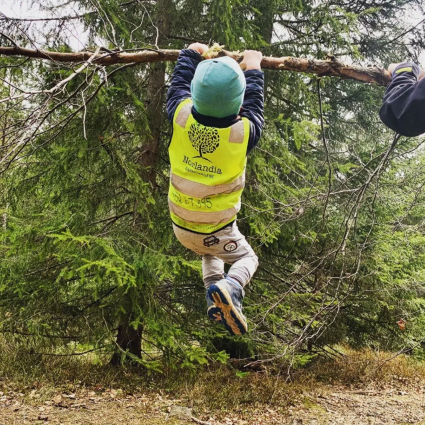 Barn med refleksvest som henger fra ei grein