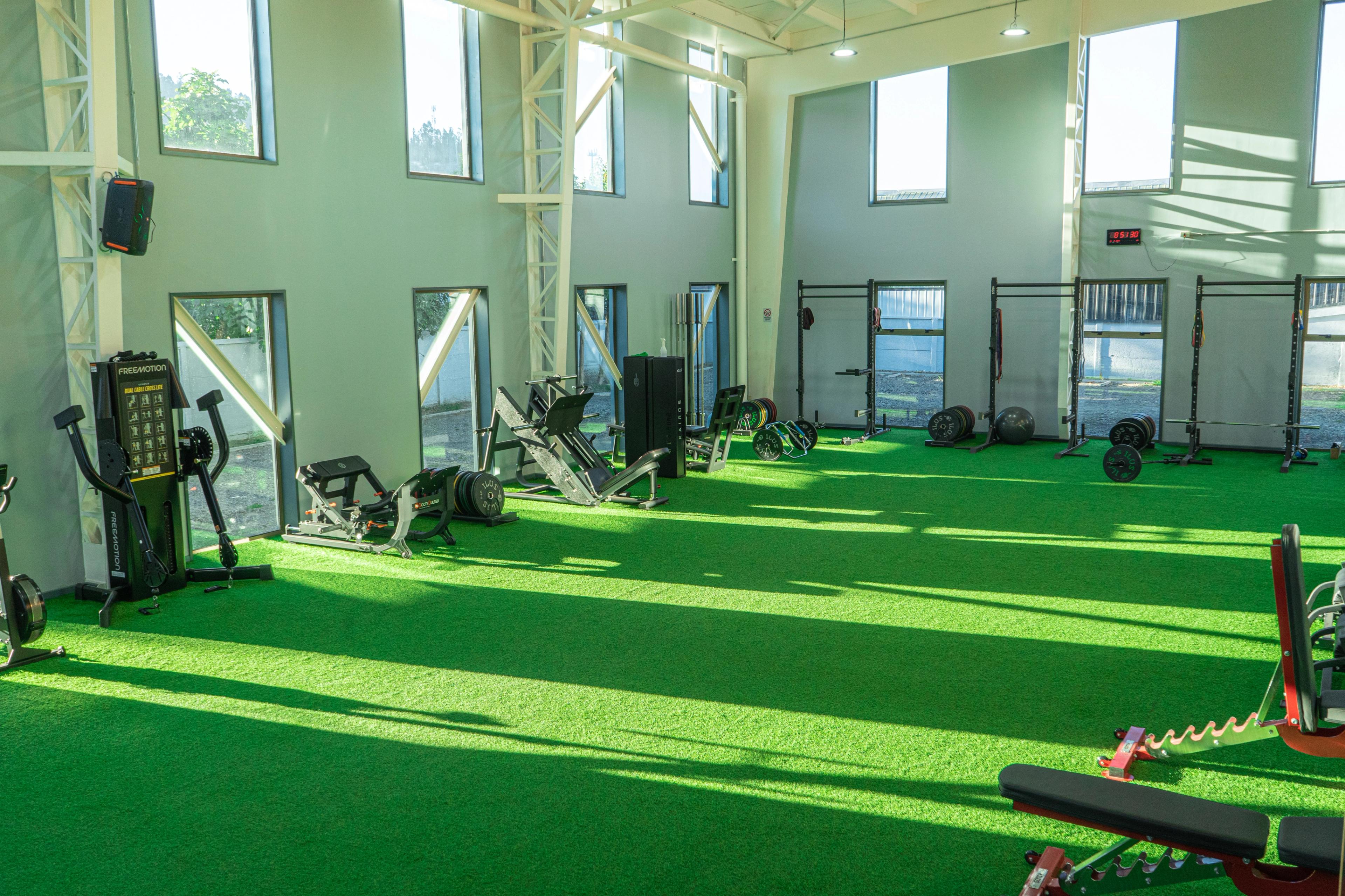 Gimnasio luminoso con suelo de césped artificial verde y luz natural procedente de ventanas altas. Las máquinas de ejercicio y las estanterías con pesas se alinean a lo largo de las paredes.