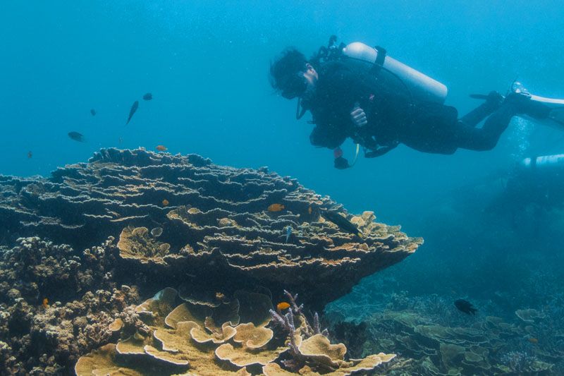 3D2N Berjaya Tioman Resort Full Board Package