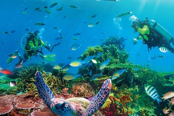 3D2N Paya Beach Full Board Package-Tioman Island