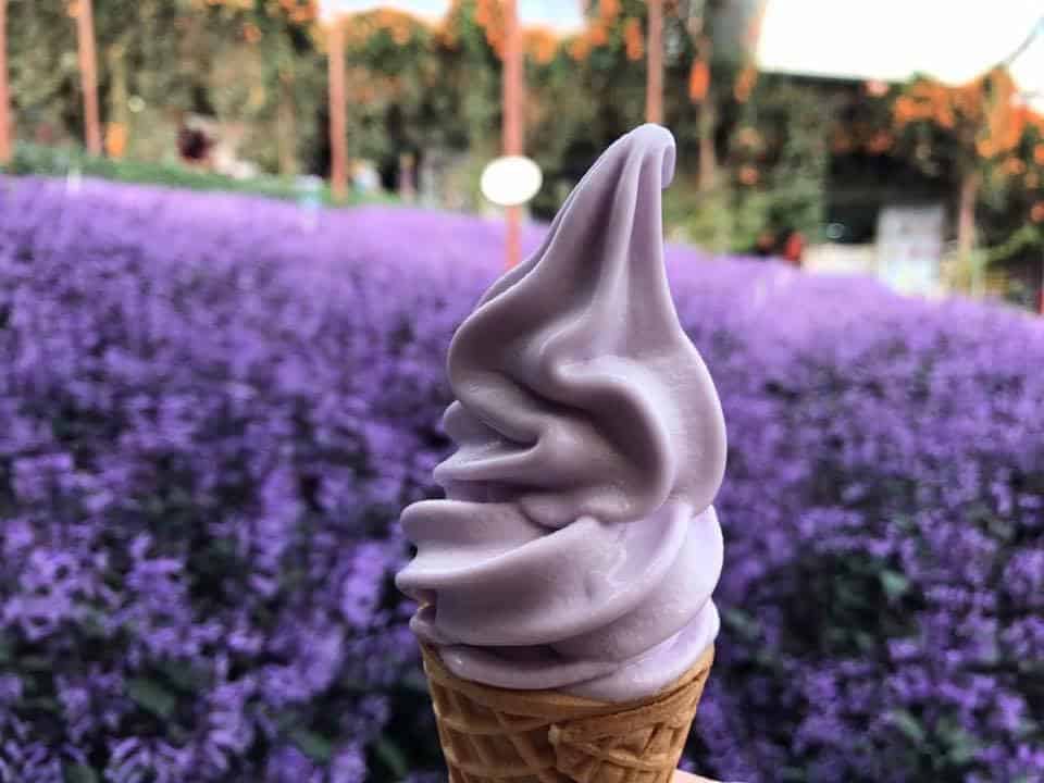 3D2N Cameron Highland Relaxation Escape