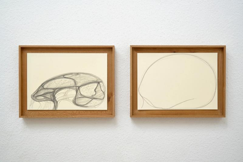 Image from project Fontanelle