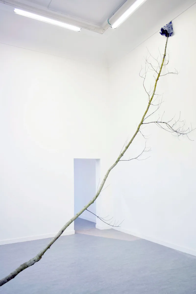 From project Currents #7: Birds of a feather