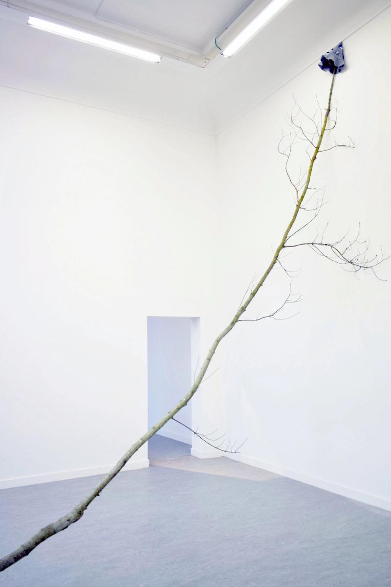 Image from project Currents #7: Birds of a feather