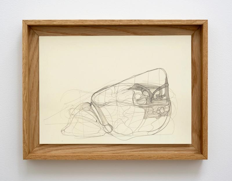 Image from project Fontanelle