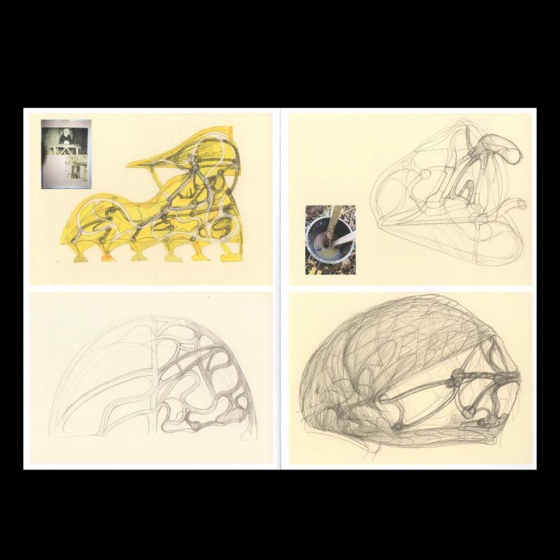 Image from project Fontanelle (book)