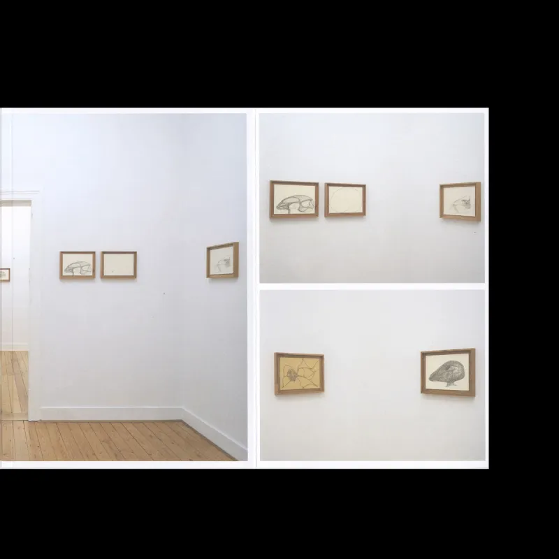 From project Fontanelle (book)