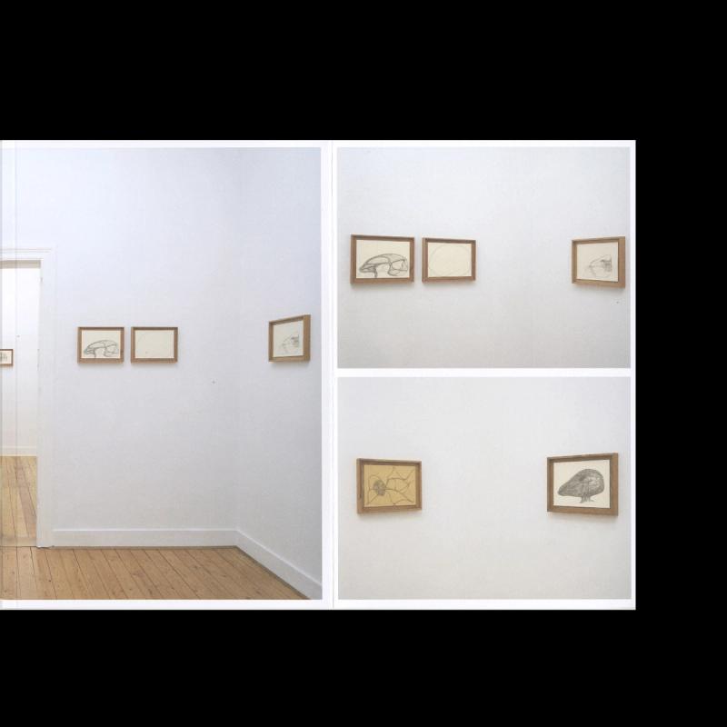 Image from project Fontanelle (book)