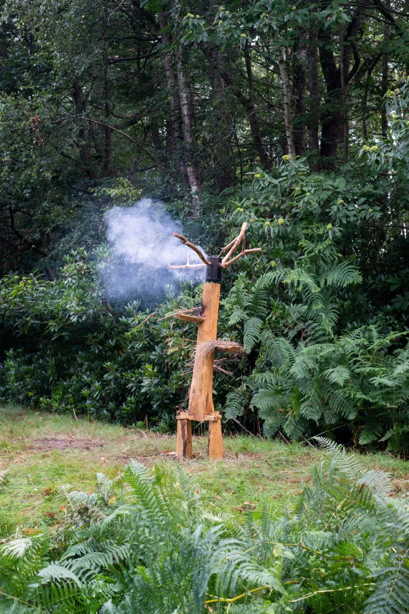 From project Waldeinsamkeit