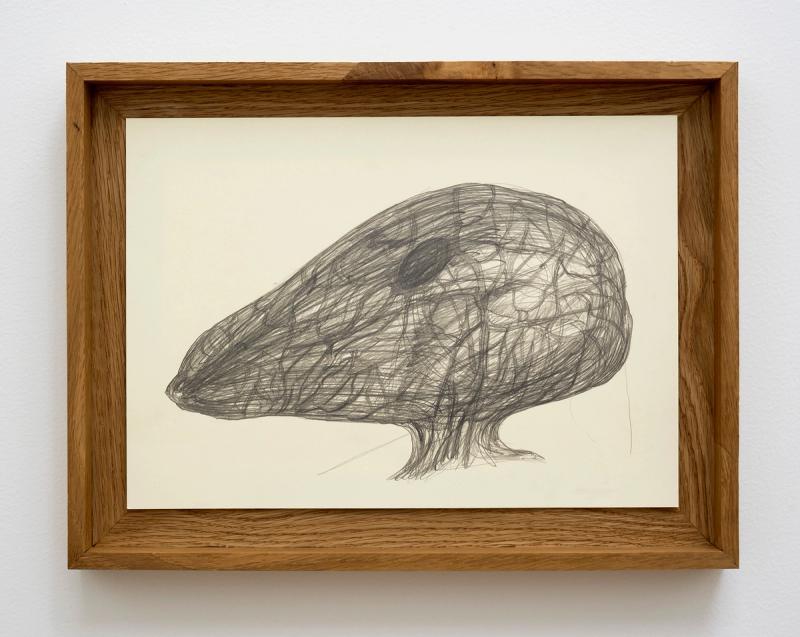 Image from project Fontanelle