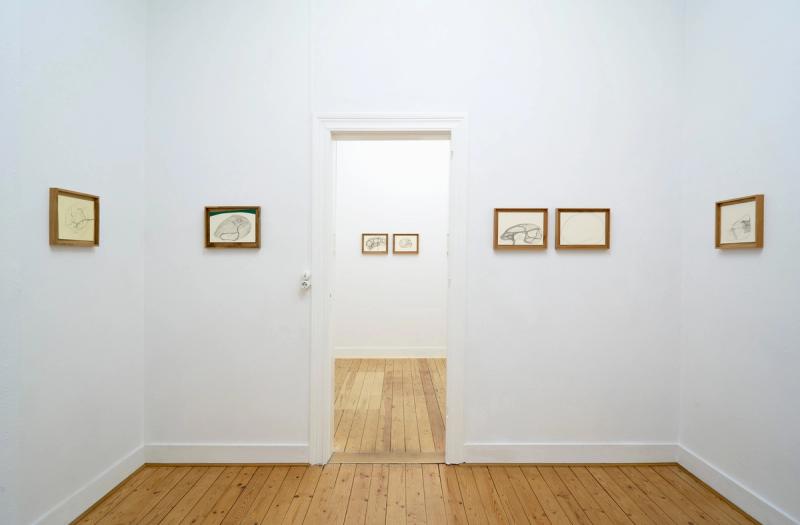 Image from project Fontanelle