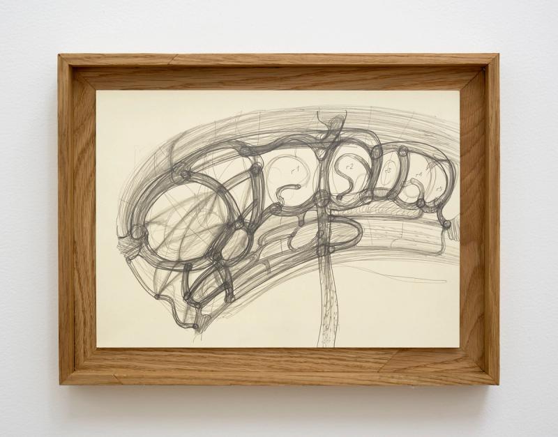 Image from project Fontanelle