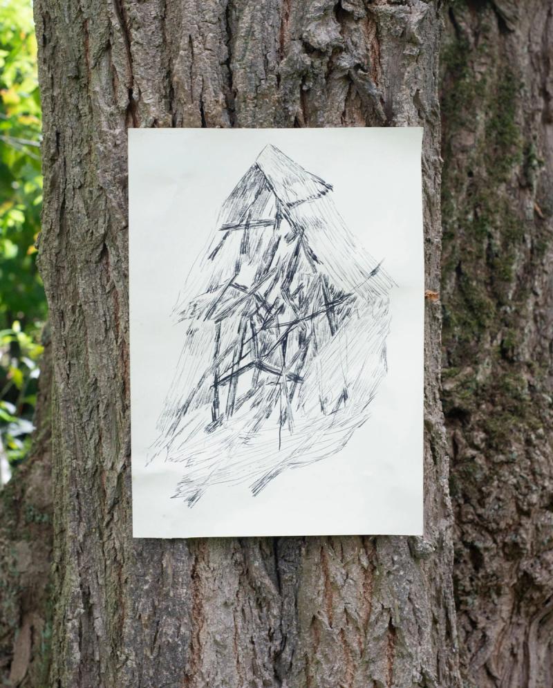 Image from project Waldeinsamkeit