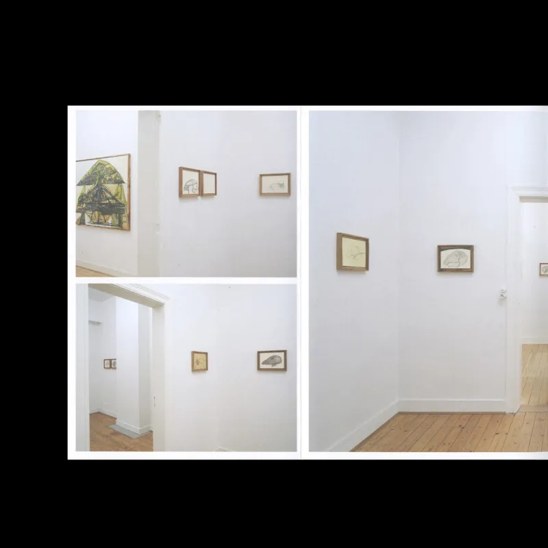From project Fontanelle (book)