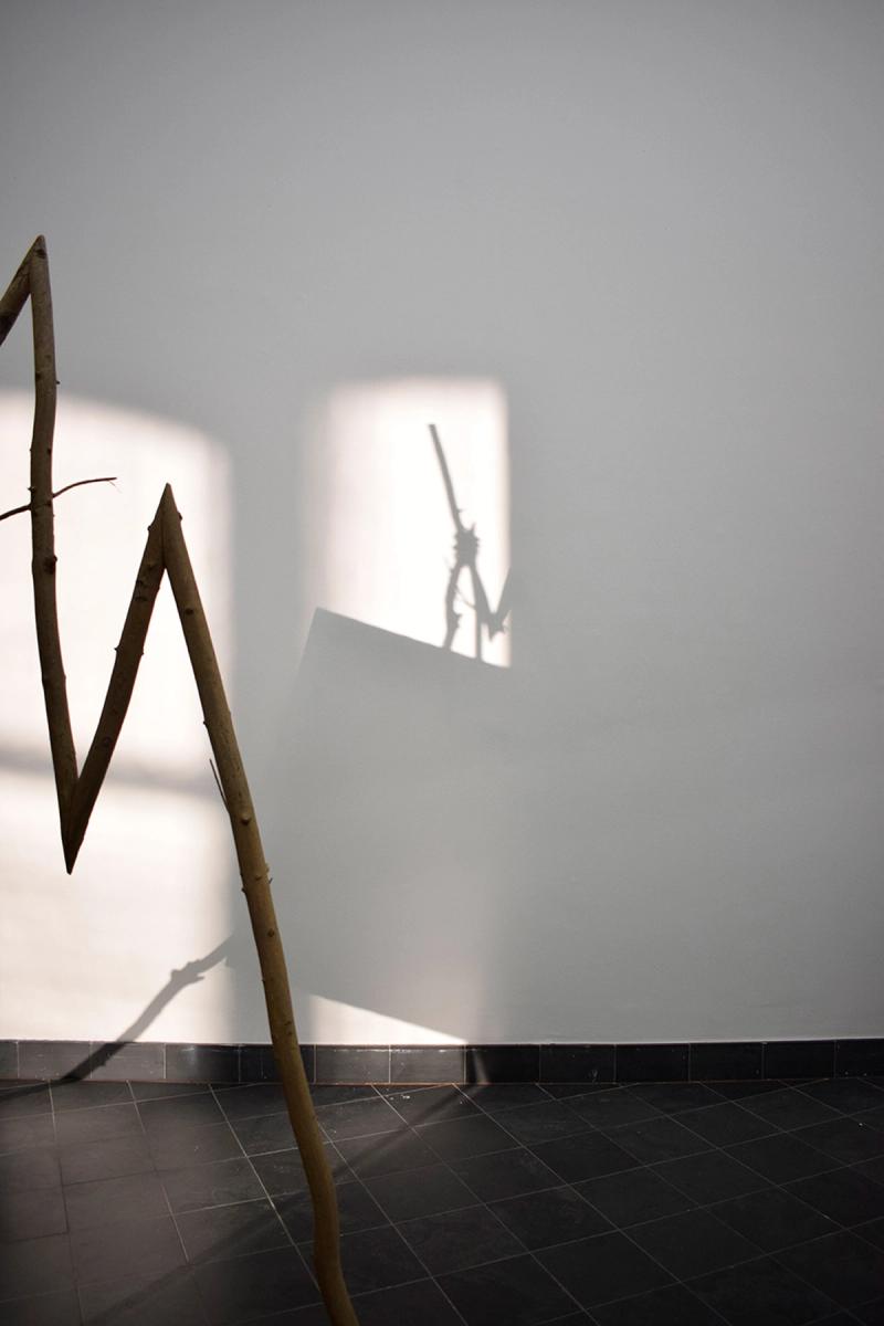 Image from project Mfa Jury, KASK, Ghent