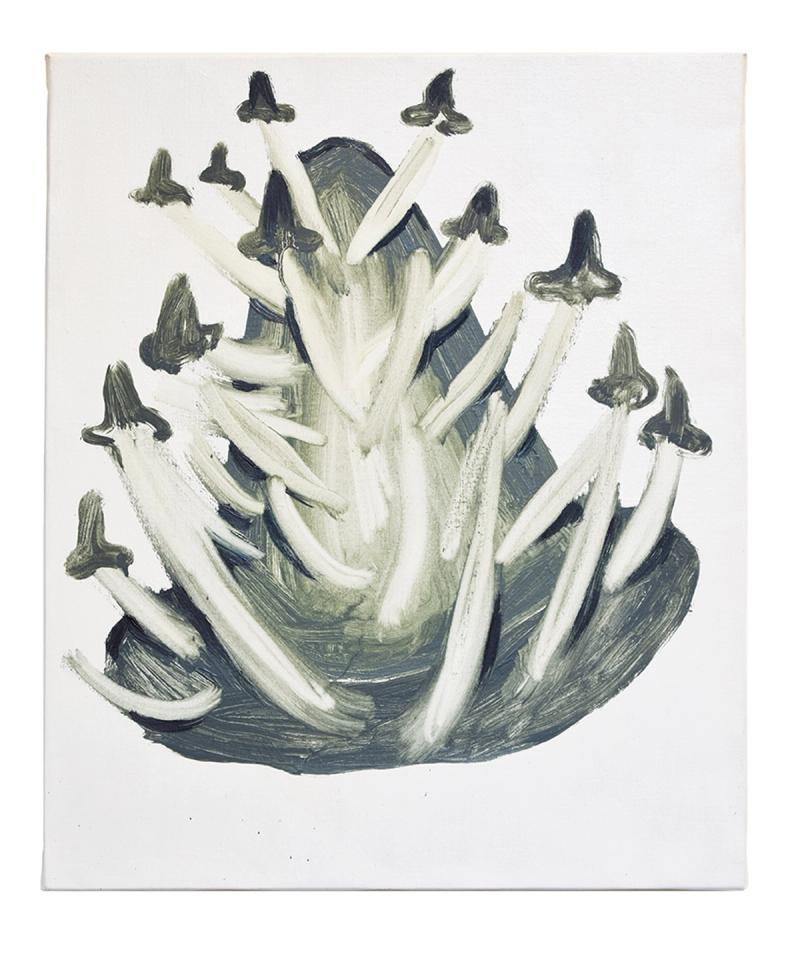 Image from project Dream of Venus