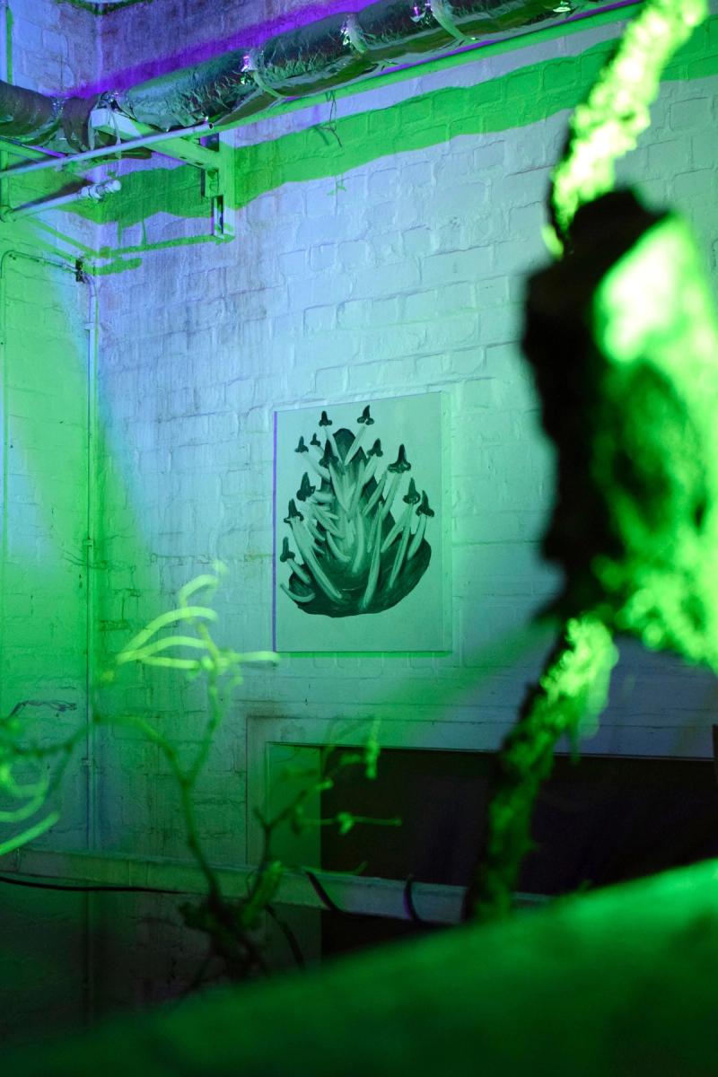 Image from project Dream of Venus