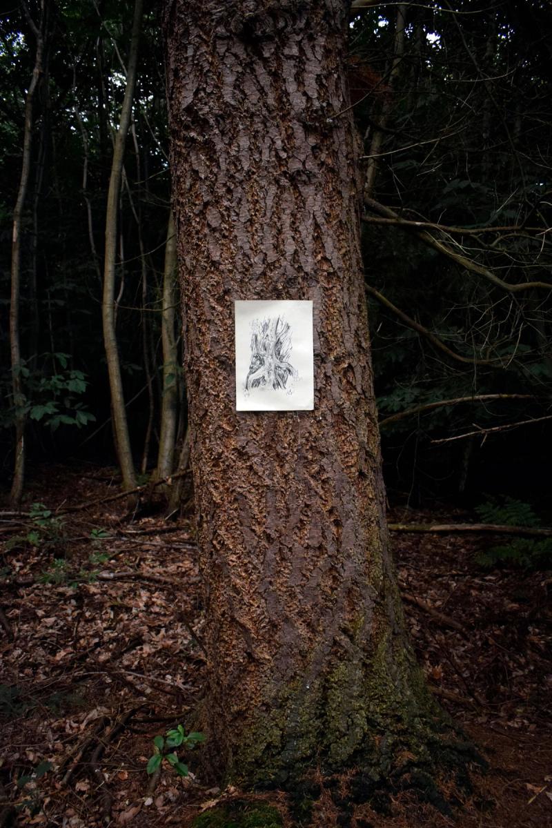 Image from project Waldeinsamkeit