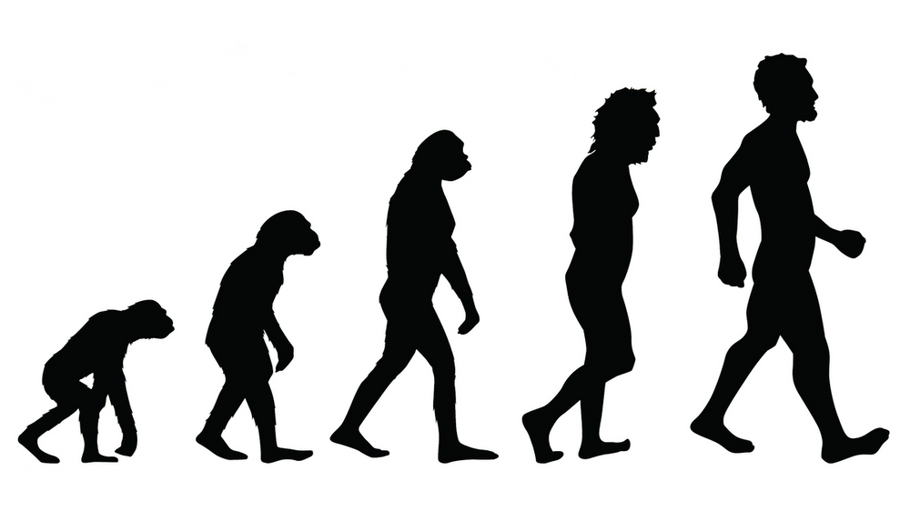 evolution