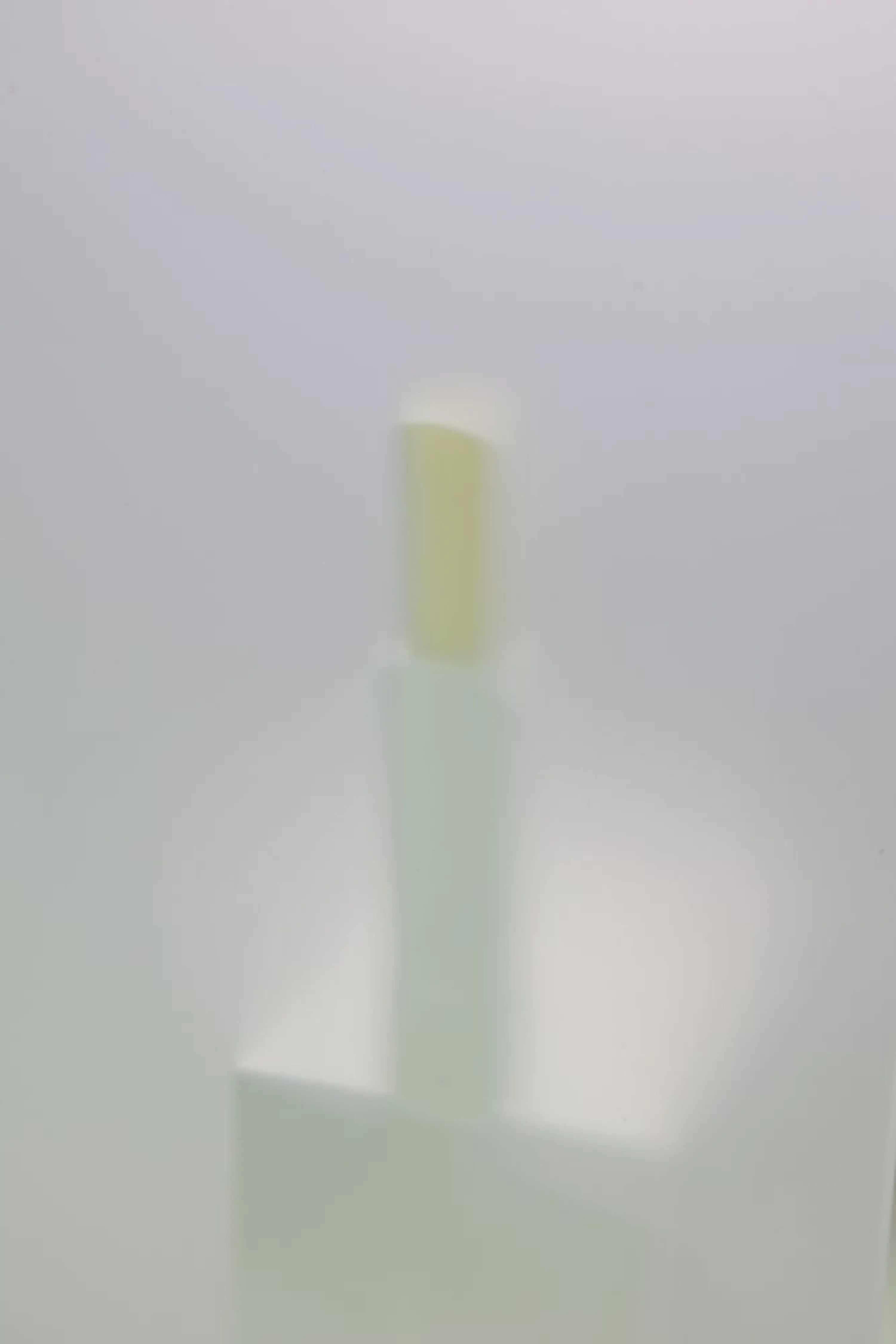 01919