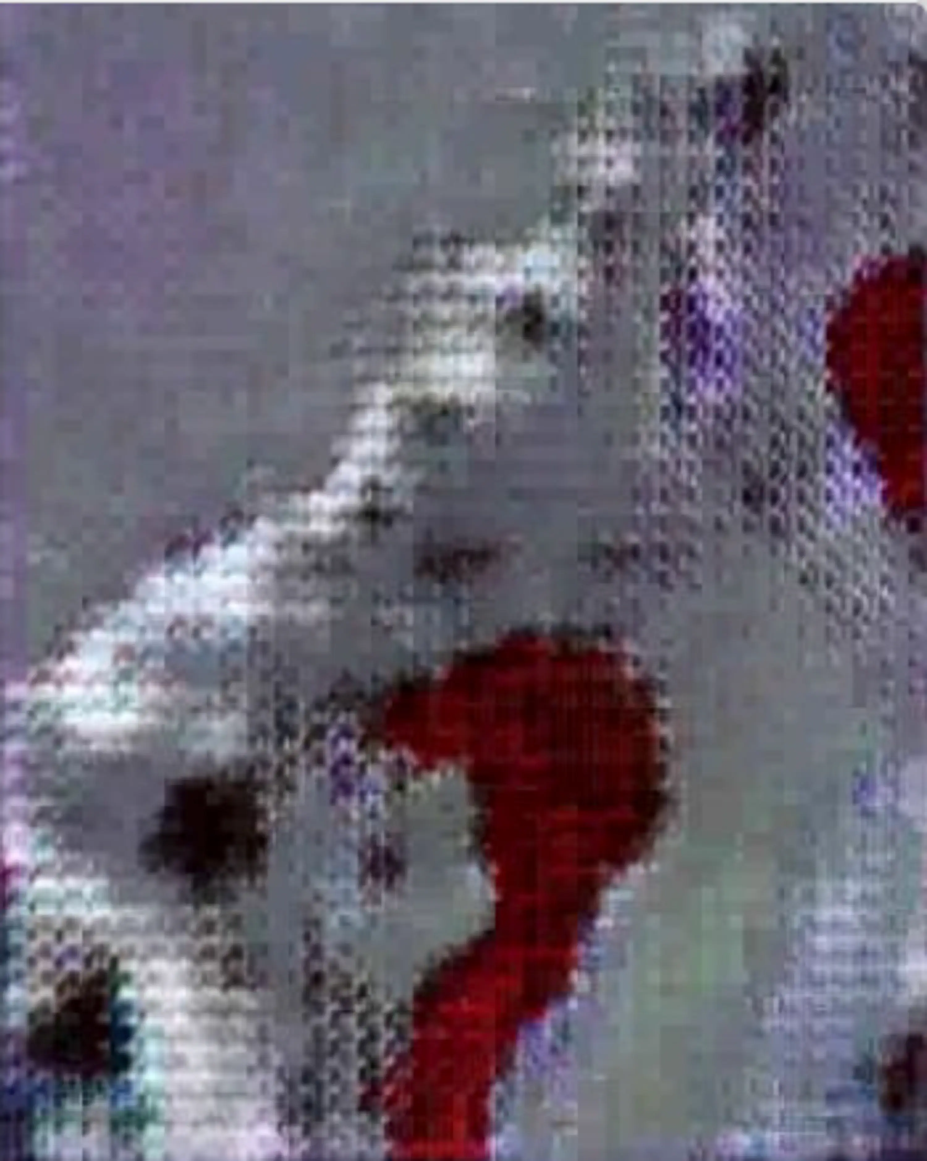 01519