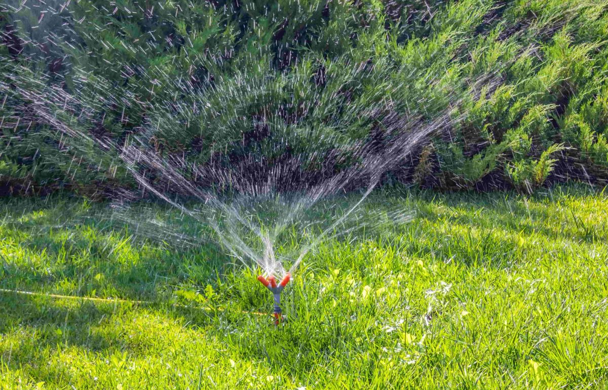 Sprinkler