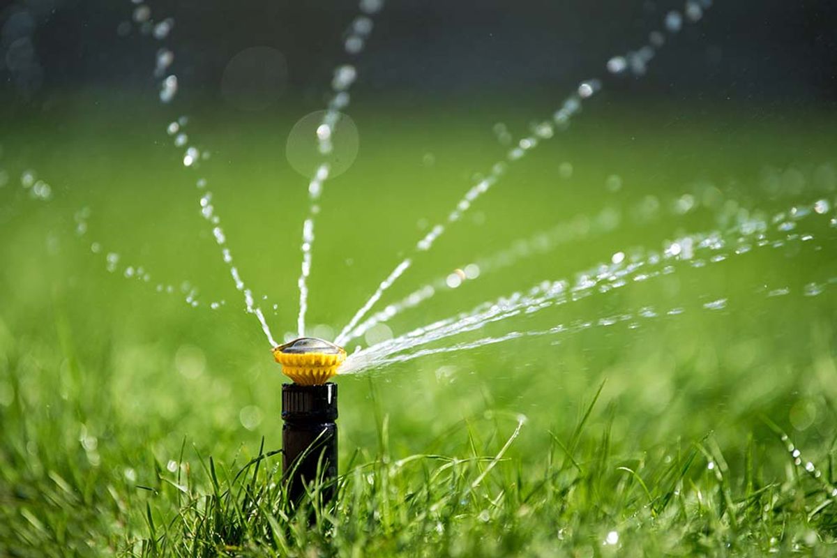 Proper Maintenance of a Sprinkler System
