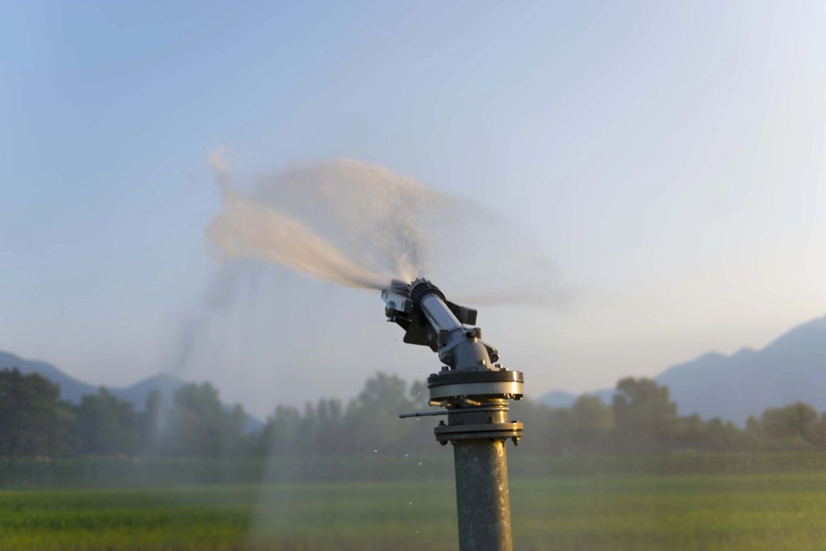 Sprinkler Blowout