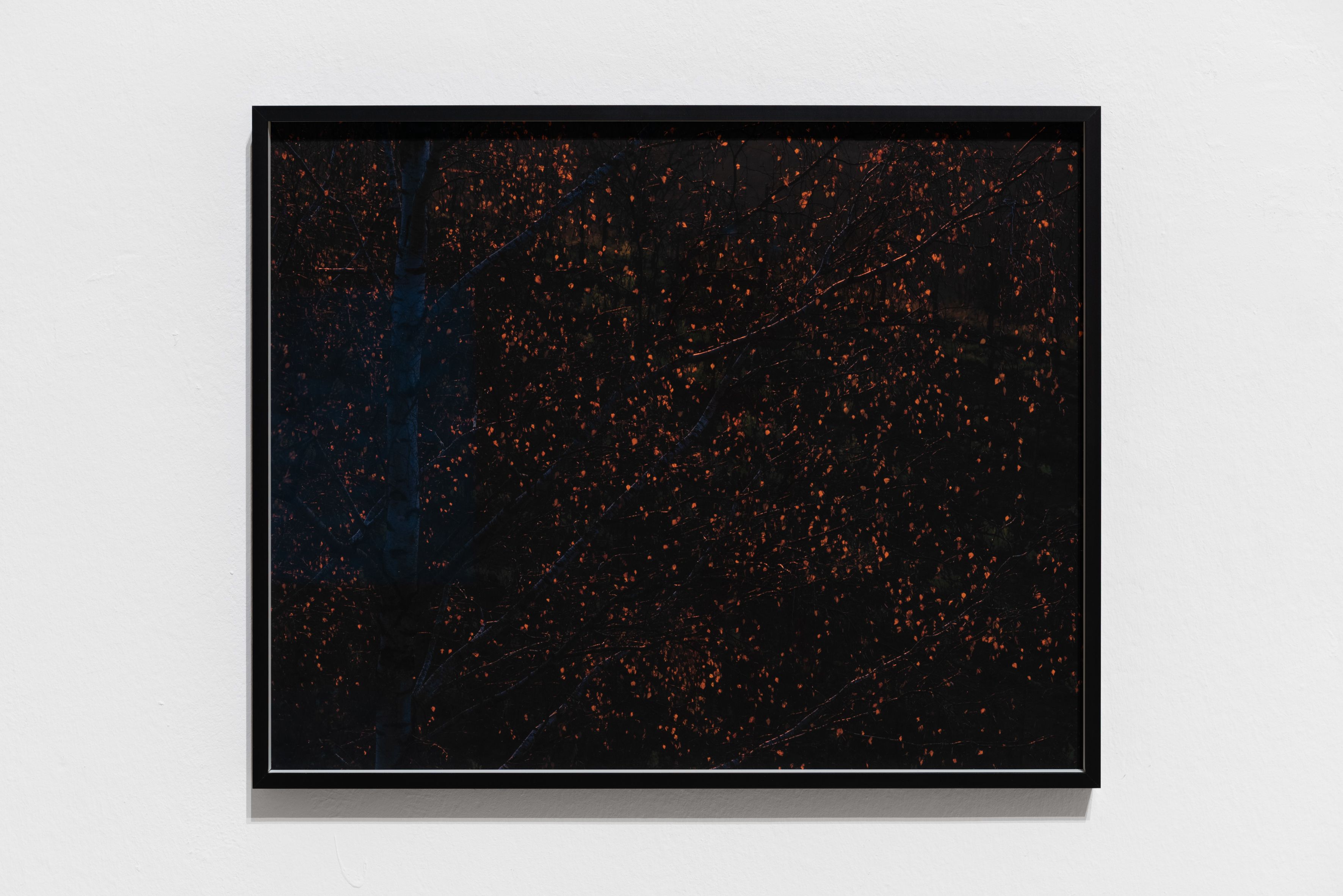 Bayerischer Kunstförderpreis