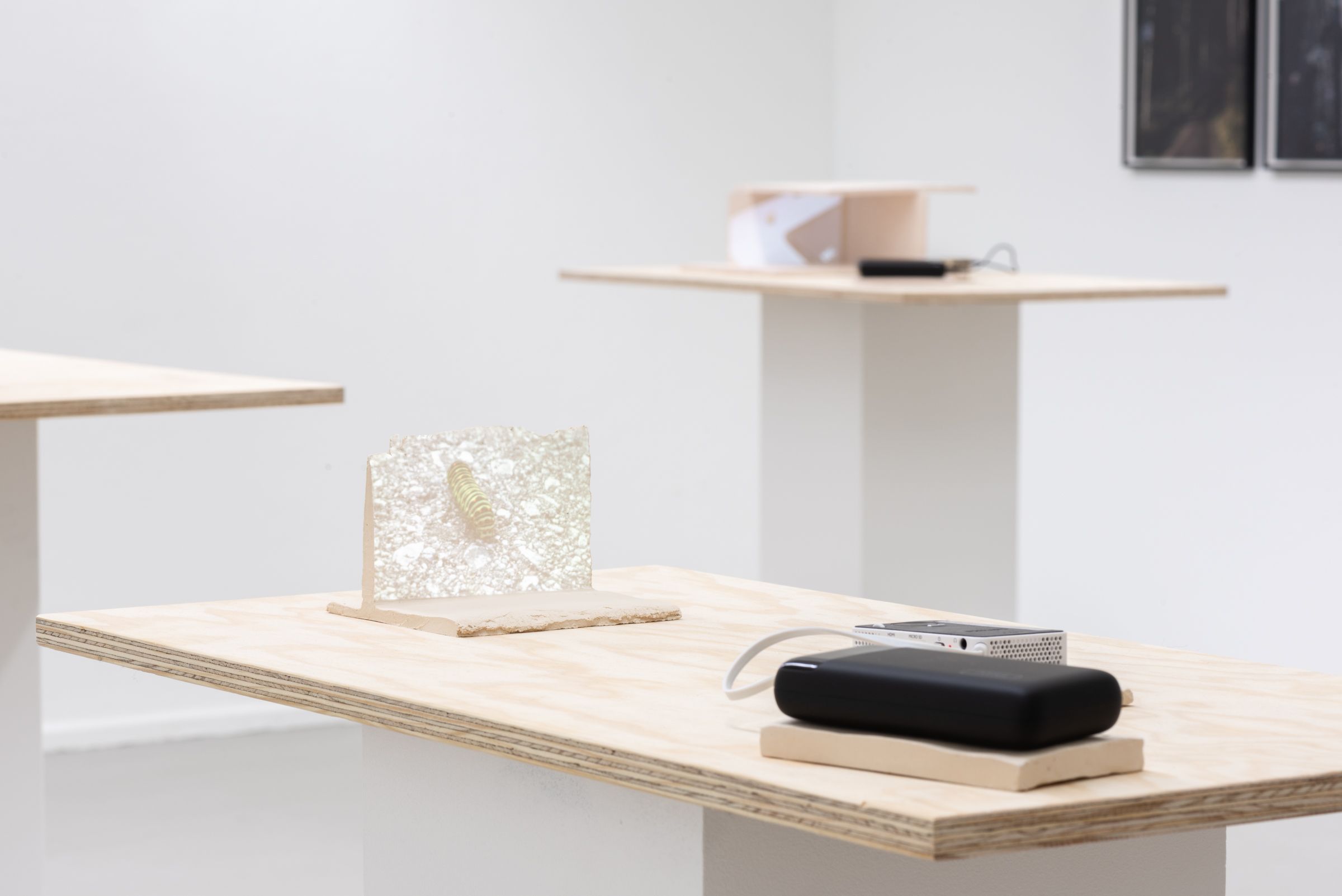 Constellation I (Caterpillar)