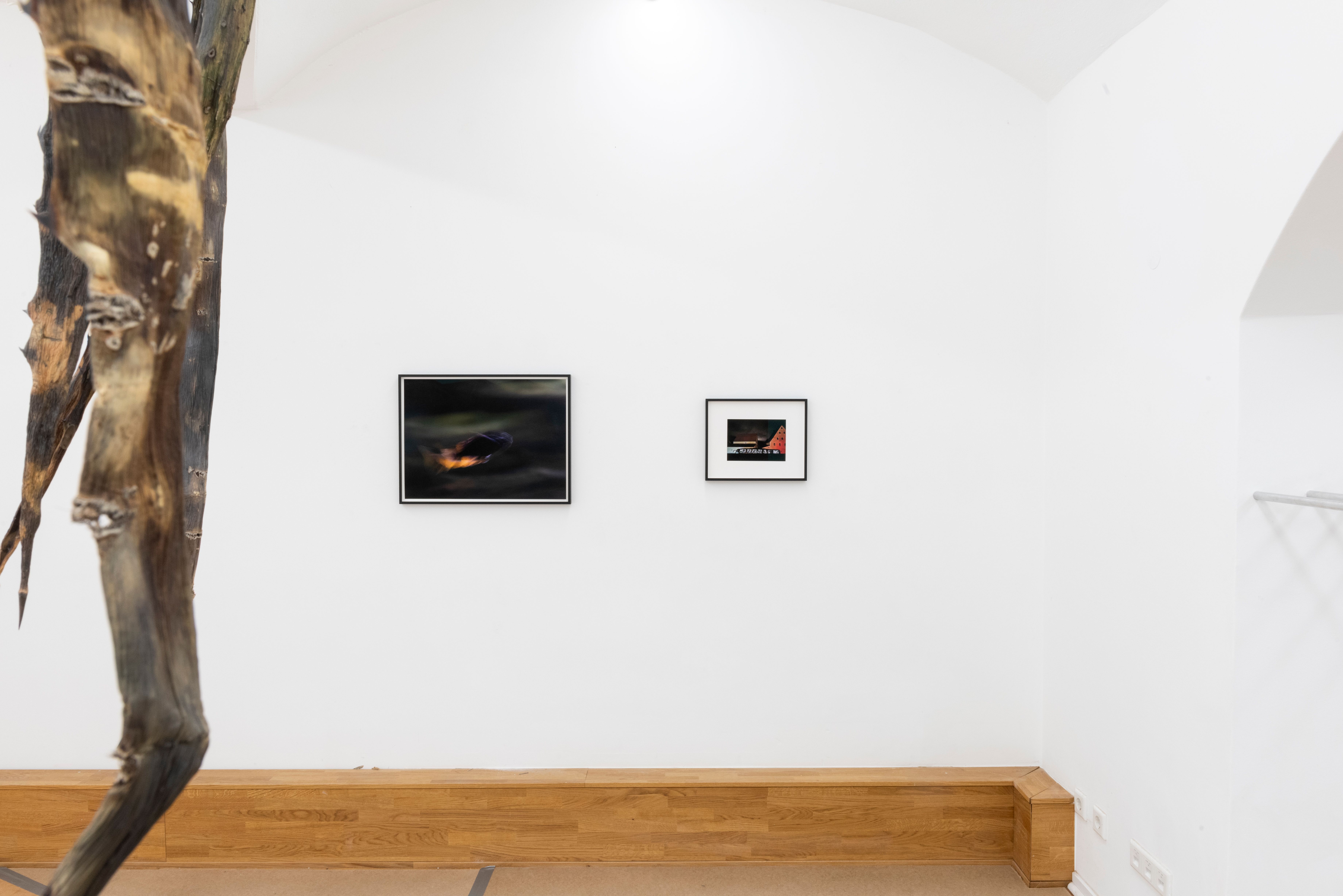 Exhibition View Michael Mönnich @ PS61 Studios, Munich