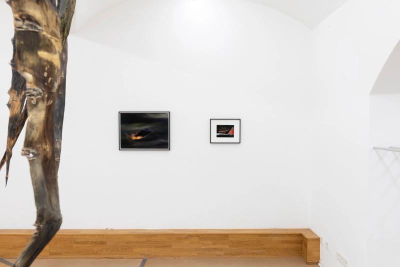 Exhibition View Michael Mönnich @ PS61 Studios, Munich